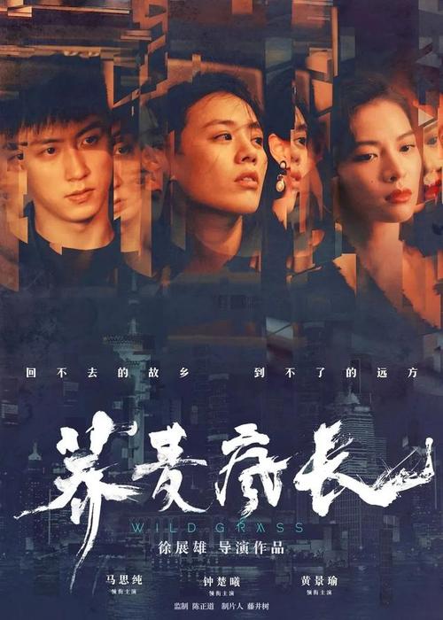 买个假的病条通知书